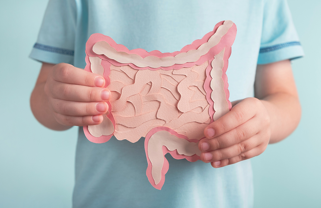 Saúde Digestiva: 4 coisas que você (ainda) não sabia sobre o intestino e a microbiota intestinal